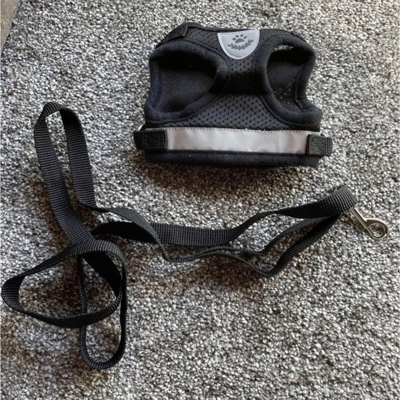 Pet harness/leash - Picture 1 of 1